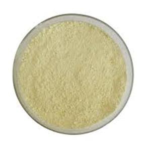 Lapatinib (GW572016)