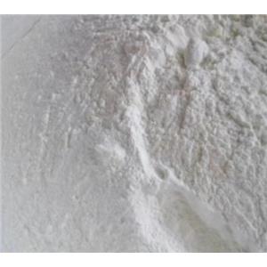 China Sell Phenolphthalein USP Grade