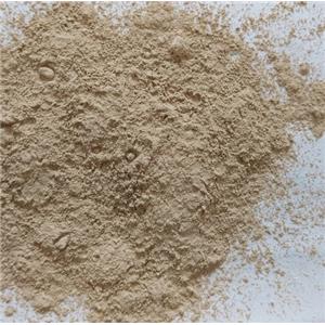 High Quality Nano Anion Powder Nano Negative Ions Powder