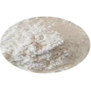 Reishi Spore  Polysaccharide