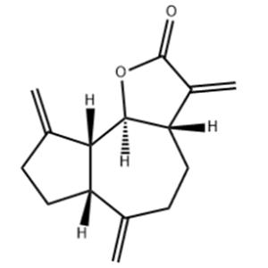Dehydrocostus lactone