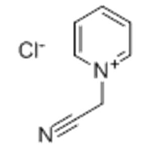 N-(CYANOMETHYL)PYRIDINIUM CHLORIDE