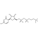 987-78-0 Cytidine 5'-Diphosphocholine