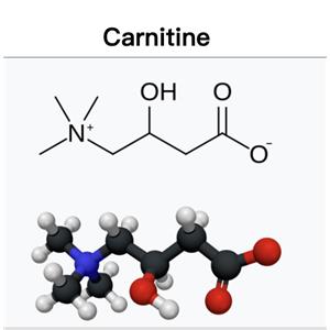 Carnitine; L-Carnitine