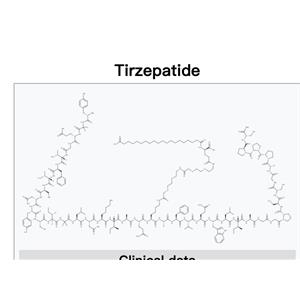 Tirzepatide