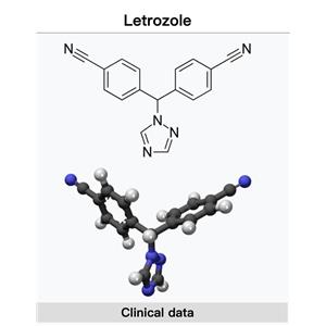 Femara；letrozole