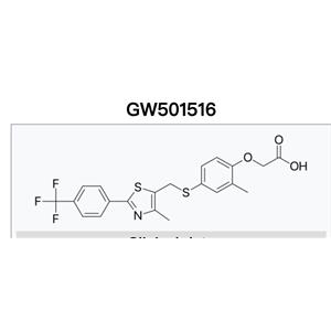 Cardarine;GW501516;GW1516