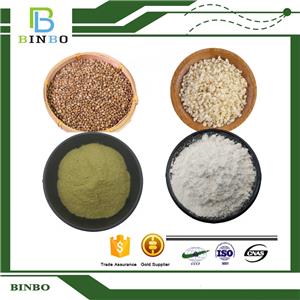 Hemp Seed Protein