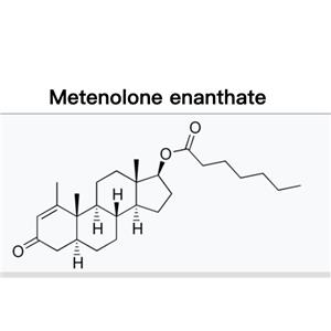 primo;Methenolone Enanthate;Primobolan En;MEE)