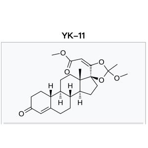 YK11