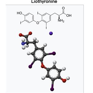 T3；Liothyronine Sodium