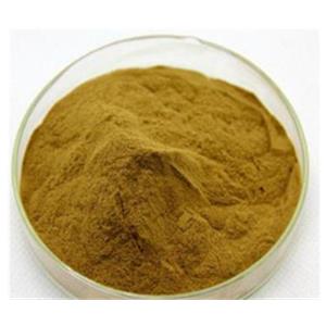 Platyclaus orientalis leaf extract,Cacumen Platycladi Orientalis P.E.
