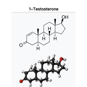 DHB;Dihydroboldenone；1-Testosterone Cypionate