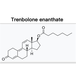 Trenbolone Enanthate;Tren E