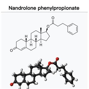 Nandrolone Phenylpropionate；Durabolin ；Nand phen；NPP