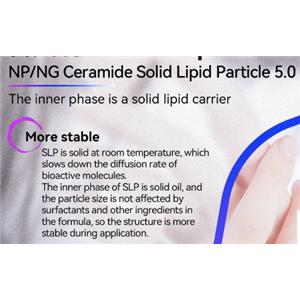 NP/NG Ceramide Solid Lipid Particle 5.0