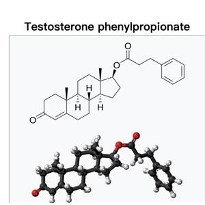 testosterone Phenylpropionate；Test phen；TPP;Testolent, Sustanon 100
