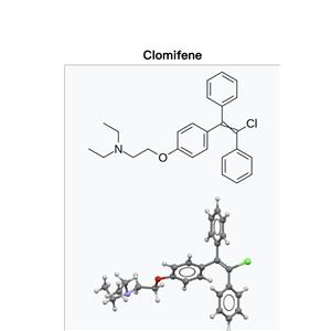 Clomifene citrate ；Clomid ；CLO；Clomiphene)
