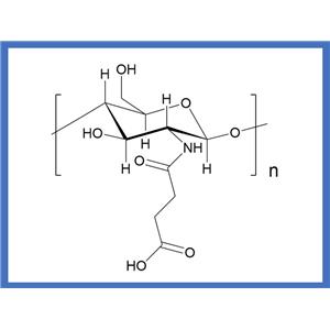 CHITOSAN SUCCINAMIDE