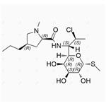 Clindamycin (2R-Cis)-Diastereomer pictures