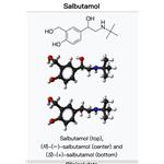 18559-94-9 Salbutamol; Ventolin