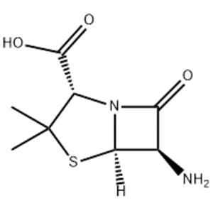 6-Aminopenicillanic acid