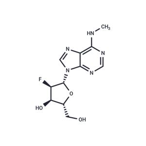 2'-Deoxy-2'-fluoro-N6-methyladensoine