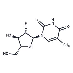 2'-Deoxy-2'-fluoro-5-methyl-4'-thio-a-D-arabinouridine