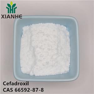 Cefadroxil