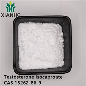Testosterone Isocaproate