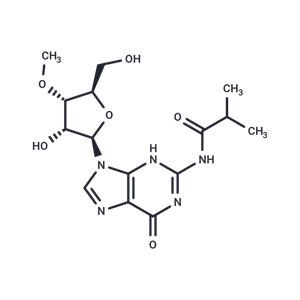 N2-iso-Butyroyl-3'-O-methylguanosine