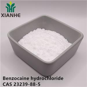 Benzocaine hydrochloride