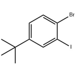 1-BroMo-4-tert-butyl-2-iodo-benzene