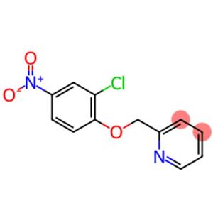 2-[(2-Chloro-4-nitrophenoxy)methyl]pyridine