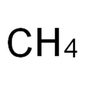 Poly(propylene glycol)
