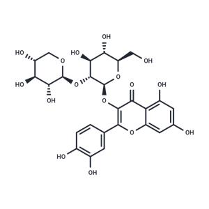 Quercetin 3-O-sambubioside