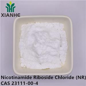 Nicotinamide Riboside Chloride (NR)