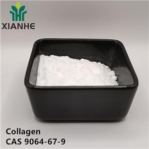 Collagen