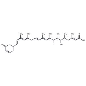 Anguinomycin A