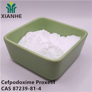 Cefpodoxime Proxetil