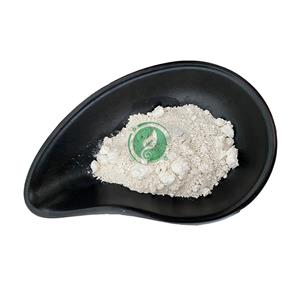 N-Acetylneuraminic acid