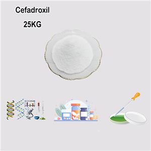 Cefadroxil