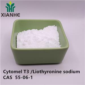 Cytomel T3 /Liothyronine sodium