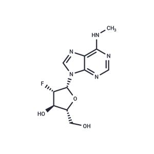 2'-Fluoro-2'-deoxy-N6-methylarabinoadenosine
