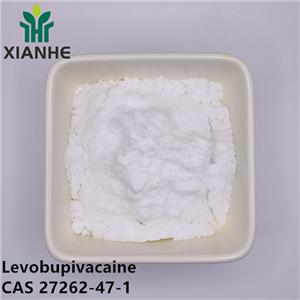 Levobupivacaine