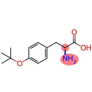 O-tert-Butyl-L-tyrosine