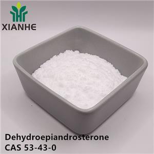 Dehydroepiandrosterone