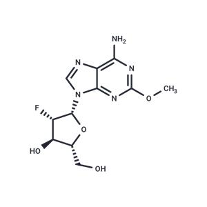 2-Methoxy-2'-deoxy-2'-fluoro-beta-D-arabinoadenosine