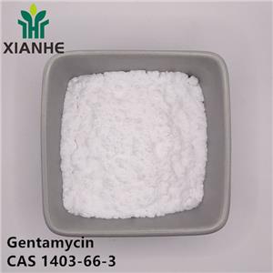 Gentamycin