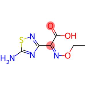 (Z)-2-(5-AMino-1,2,4-thiadiazol-3-yl)-2-ethoxyiMinoacetic acid